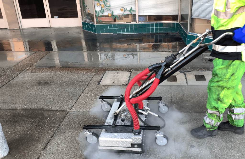 Professional Outdoor Cleaning Services in San Mateo County California